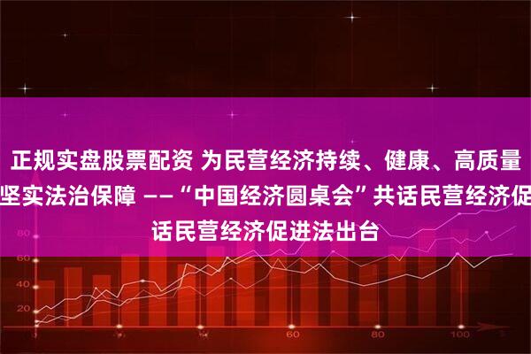 正规实盘股票配资 为民营经济持续、健康、高质量发展提供坚实法治保障 ——“中国经济圆桌会”共话民营经济促进法出台